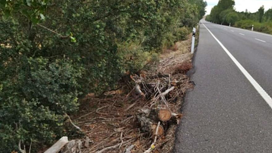 La vegetación invade la calzada y dificulta la visibilidad en varios tramos. |