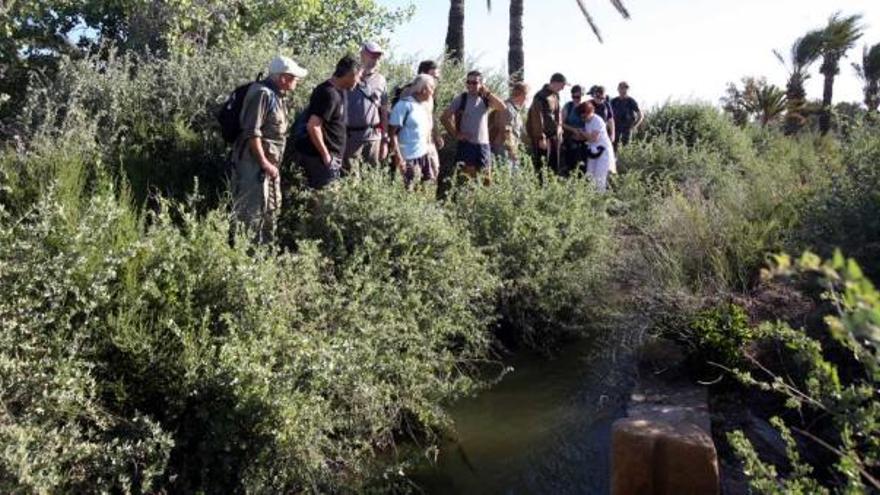 Los participantes en la ruta recorrieron parajes ilicitanos como el del Molí del Cèntim.