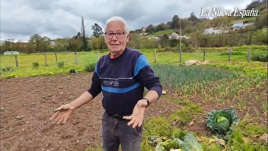 La huerta de Tino (IV)