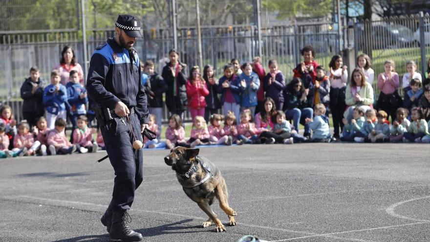 Una exhibición de los perros de la Policía Local.