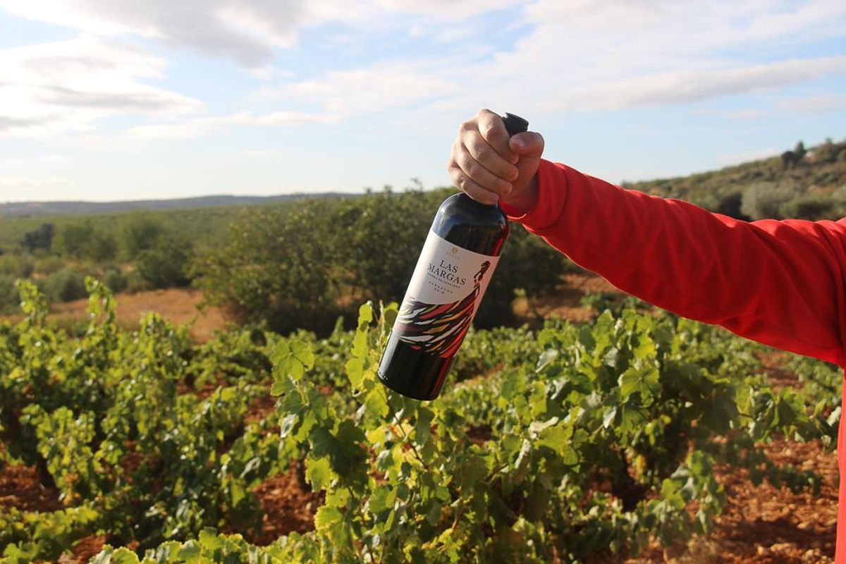 Las Margas es un vino elaborado completamente con uva garnacha bajo la Denominación de Origen Protegida Cariñena.