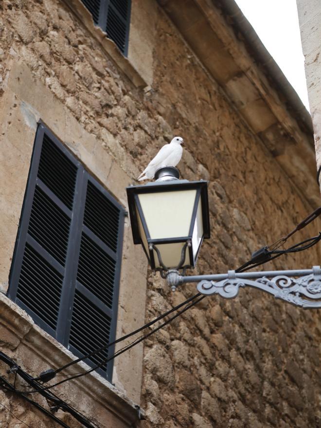 So sieht es in der Urlauberhochburg Valldemossa auf Mallorca zu Beginn der Nebensaison aus