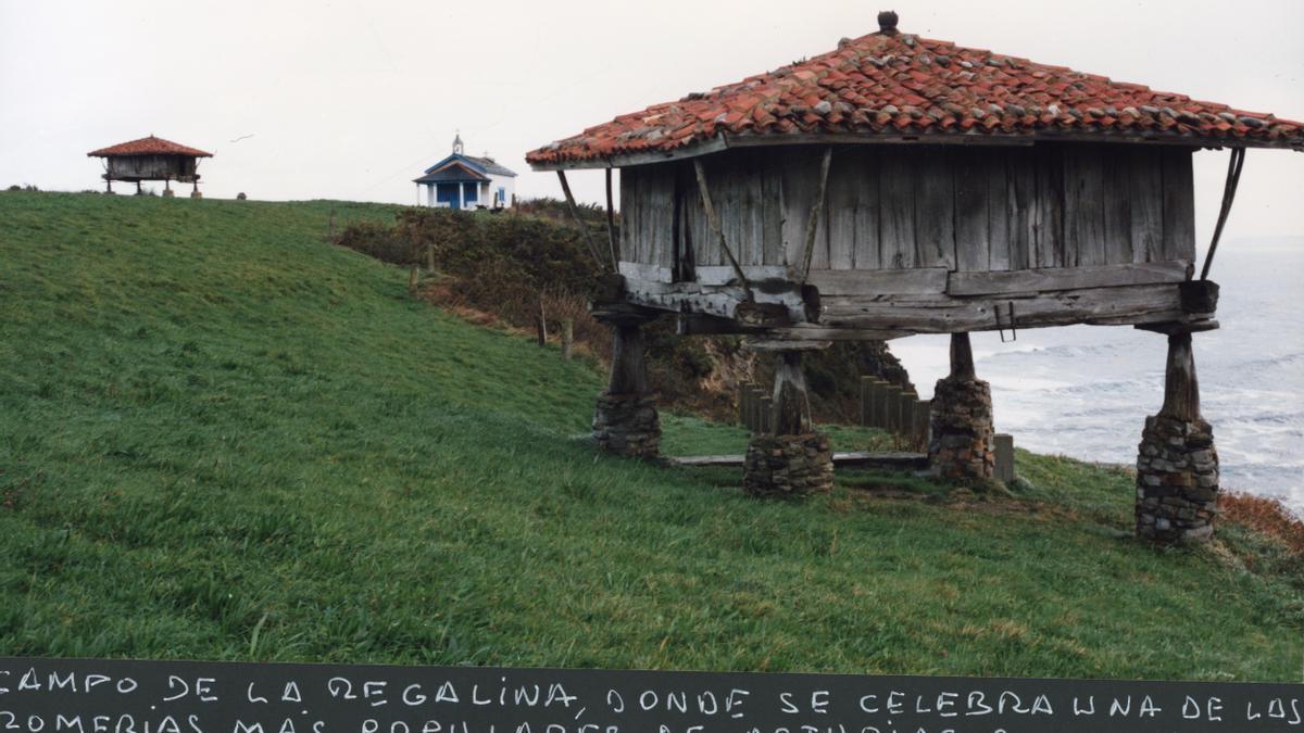 Campo de la Regalina, Cadav�u.jpg