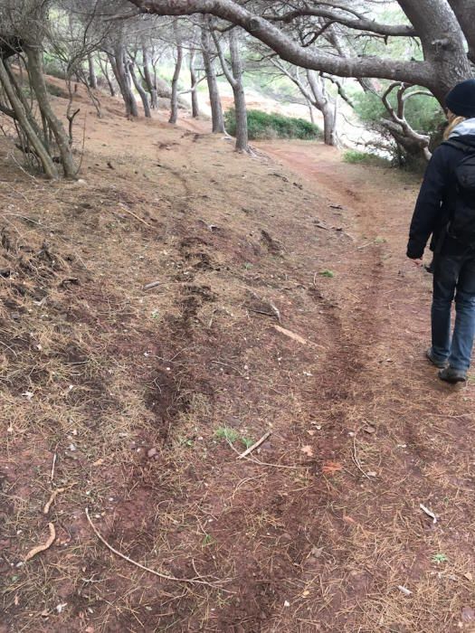 Denuncian una excursión con motos de cross en el Port des Canonge