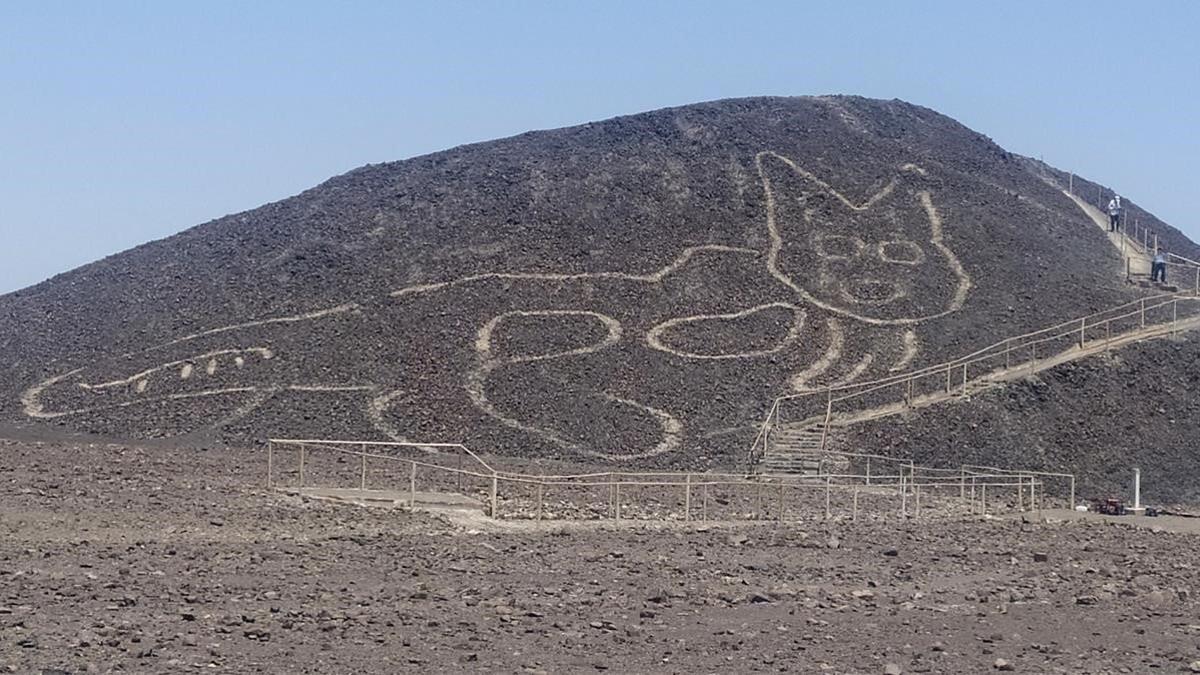 El gato de 37 metros de largo hallado en la Pampa de Nazca, en Perú.