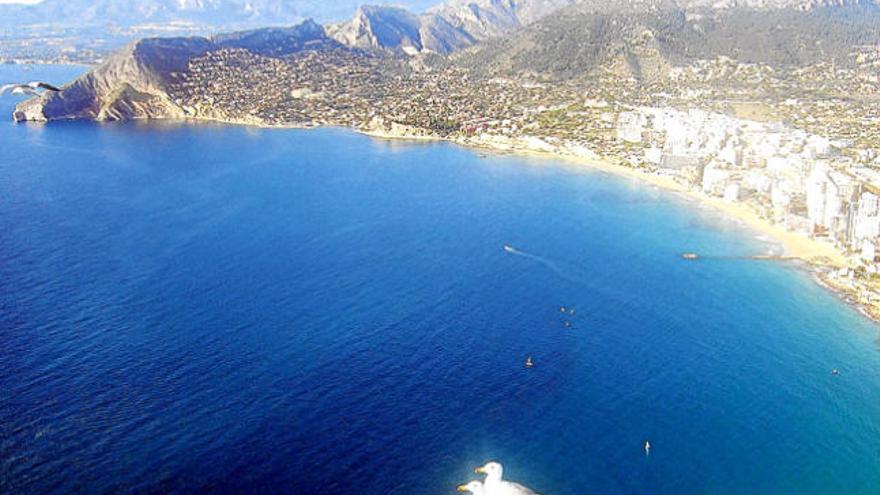 Las jaulas se situarían frente a las playas calpinas.