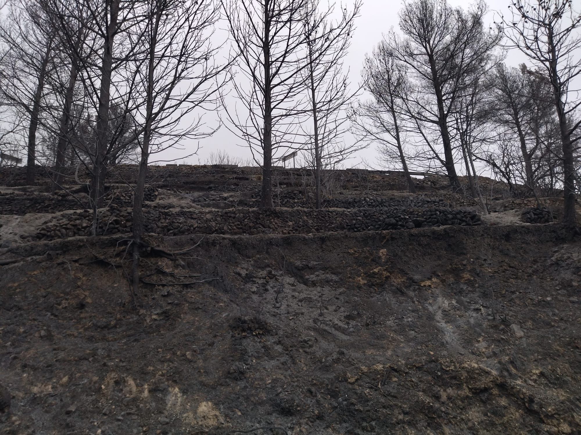 La destrucción del incendio de Tàrbena, en imágenes