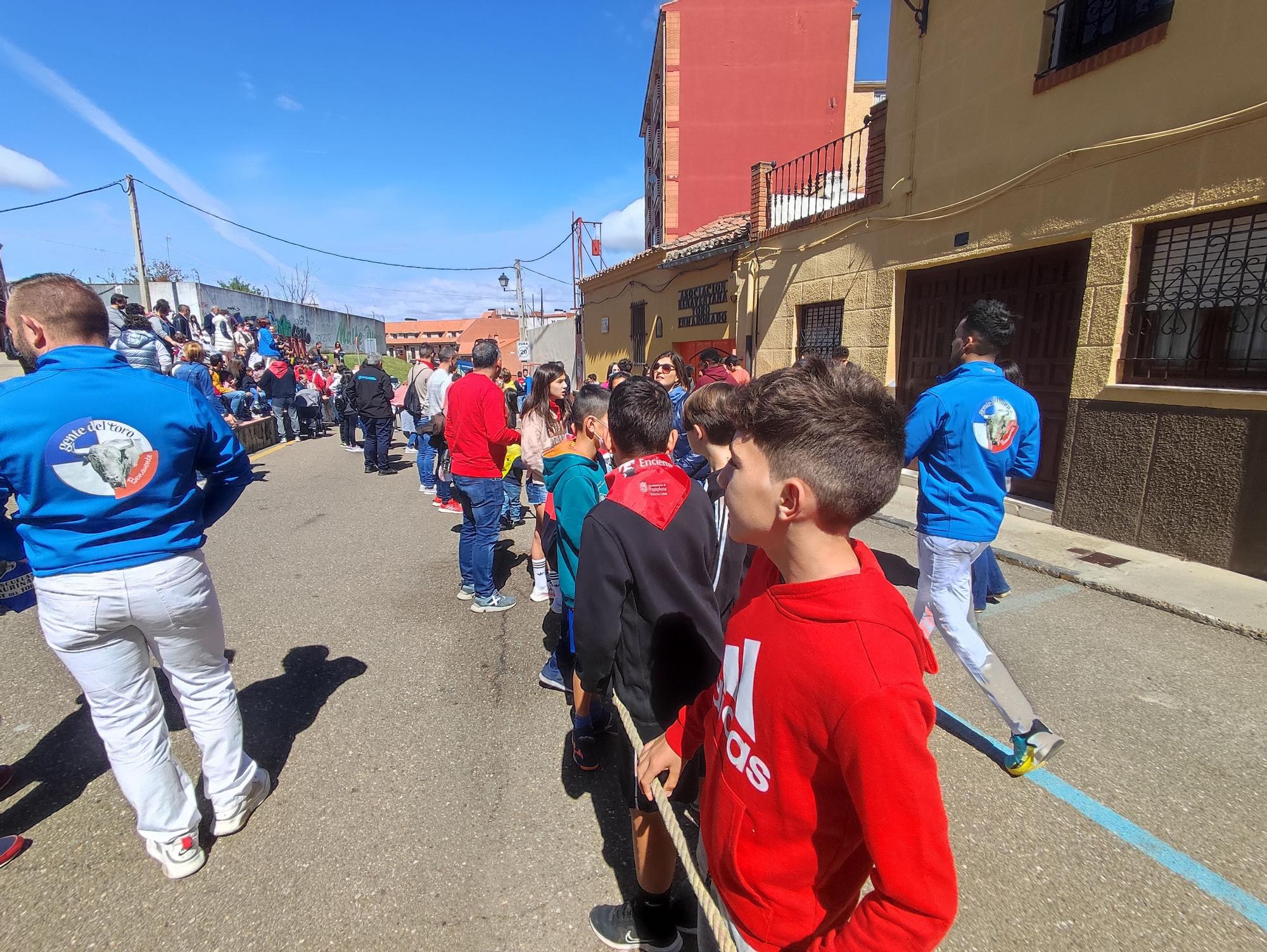 Imperioso, el carretón gigante de la Escuelas Taurinas de Benavente