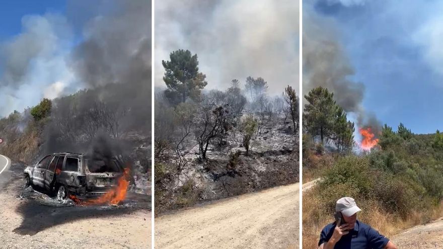 Así se desarrolla el incendio entre Mohedas de Granadilla y Casar de Palomero