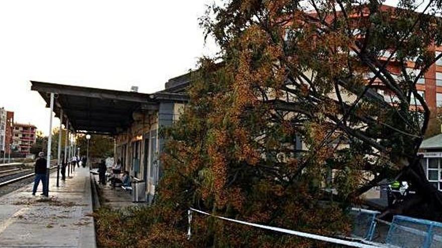 Un arbre caigut per les fortes ratxes de vent a l&#039;estació de trens de Cambrils, on hi va haver diverses afectacions