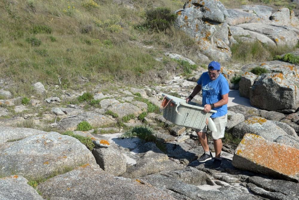 Voluntarios ponen a punto las playas de A Illa