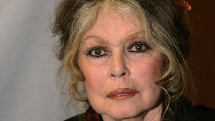 Brigitte Bardot pide a Caunedo que retire el decreto anti gatos callejeros