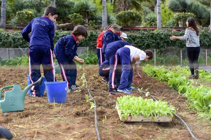 Visita escolar a la Granja Agricola del Cabildo