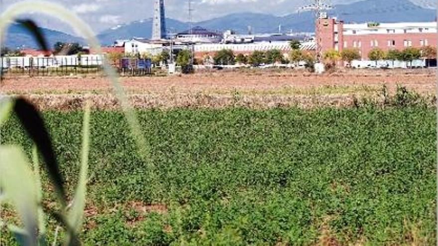 Els terrenys del sector sud, amb l&#039;Espai Gironès al fons, on s&#039;hi podria ubicar l&#039;Ikea si s&#039;implantés a Salt.