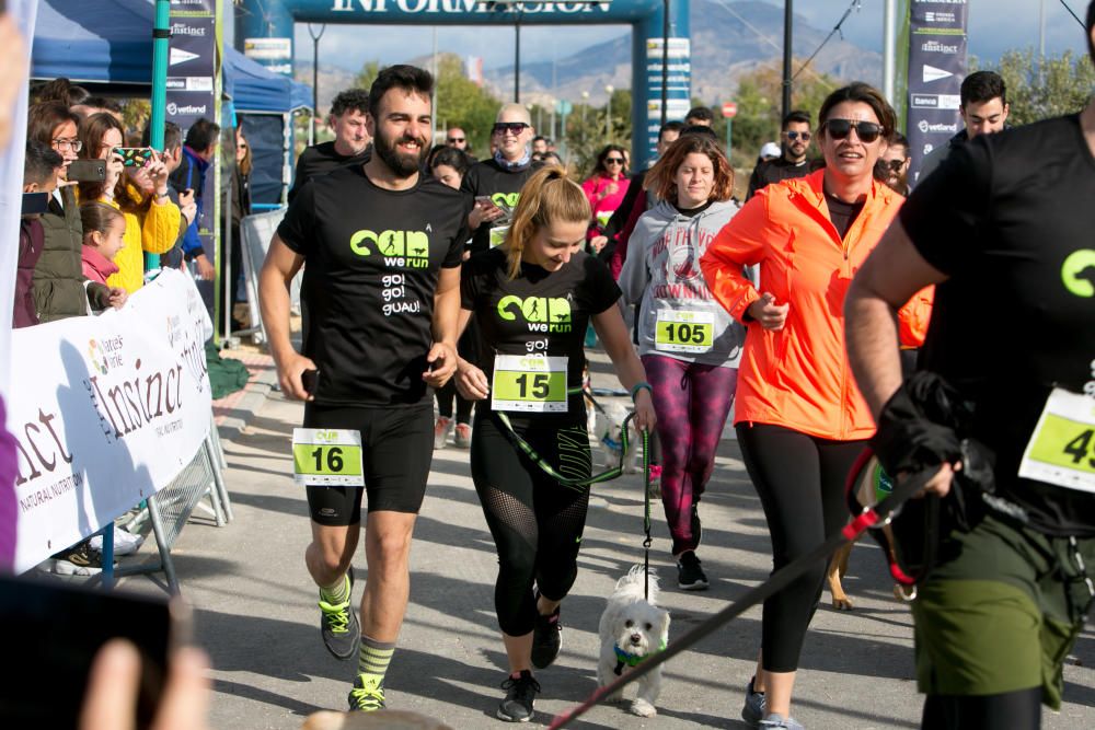 Can We Run: Gran carrera de perros para la concienciación animal