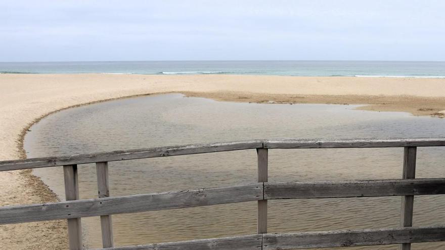 O BNG urxe ao Goberno a coordinar coa Xunta e o Concello medidas urxentes para salvar a lagoa de Baldaio