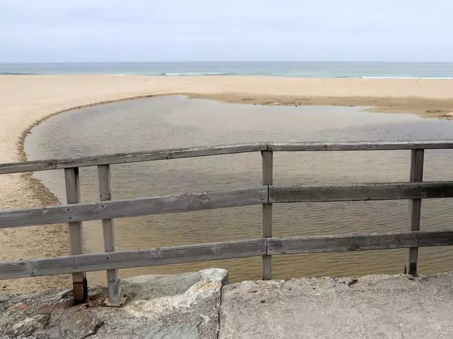 O BNG urxe ao Goberno a coordinar coa Xunta e o Concello medidas urxentes para salvar a lagoa de Baldaio