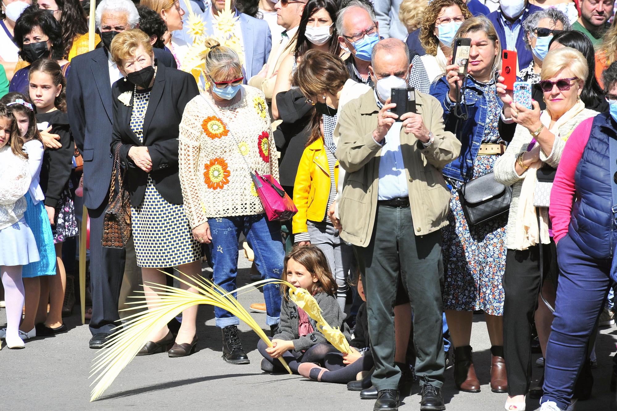 Domingo de Ramos en Elche