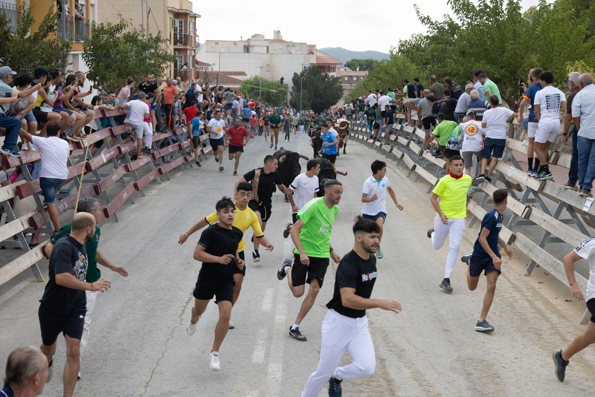 Tercer encierro de la Feria Taurina del Arroz en Calasparra