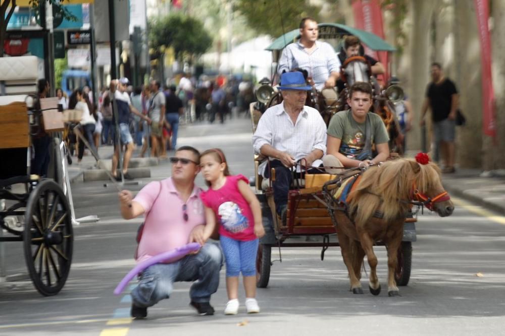 Día del Caballo en Alfonso X