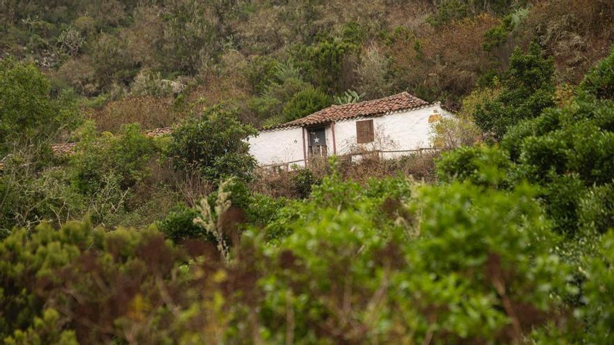 Tenerife Vaciada: Cuevas Negras, Los Silos