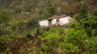 Cuevas negras en Los Silos: verde esmeralda