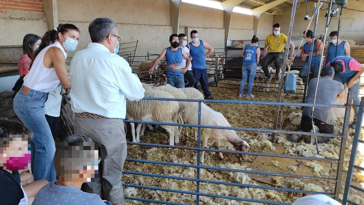 Clara San Damián visita el curso de esquileo de la Escuela Internacional de Industrias Lácteas