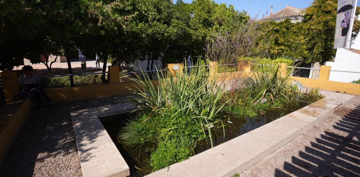 1 | CHENCHO MARTÍNEZ