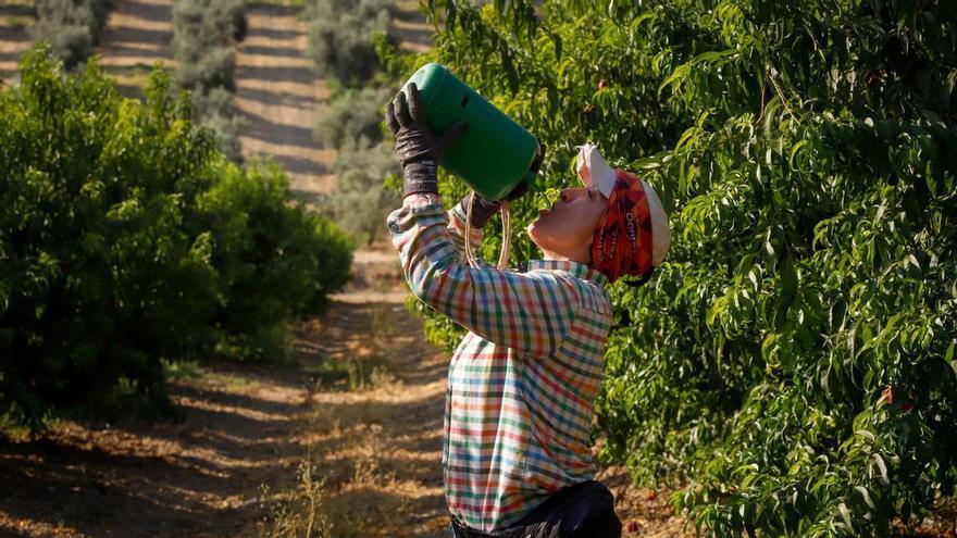 Unos 80.000 trabajadores entran en jornada intensiva desde el 1 de junio en una Córdoba ya a 40 grados