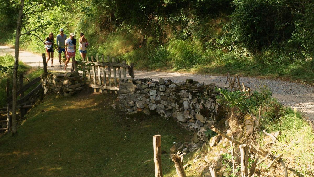 La senda del río Dobra