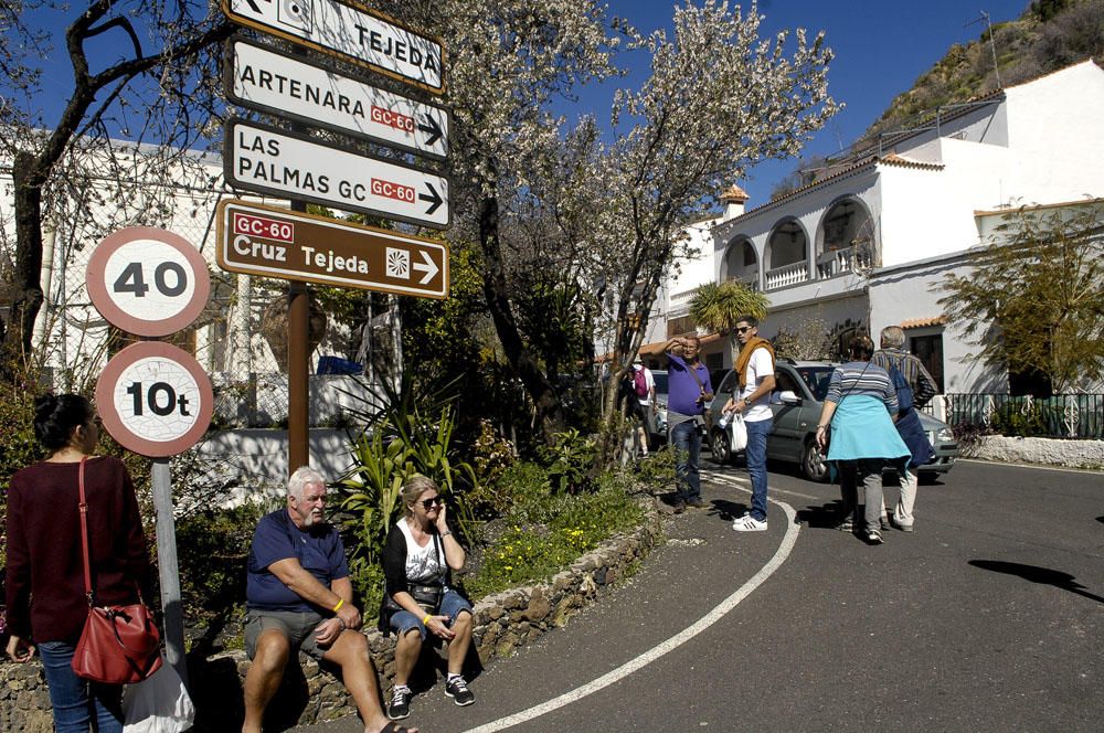 Fiestas del Almendro en Flor en Tejeda