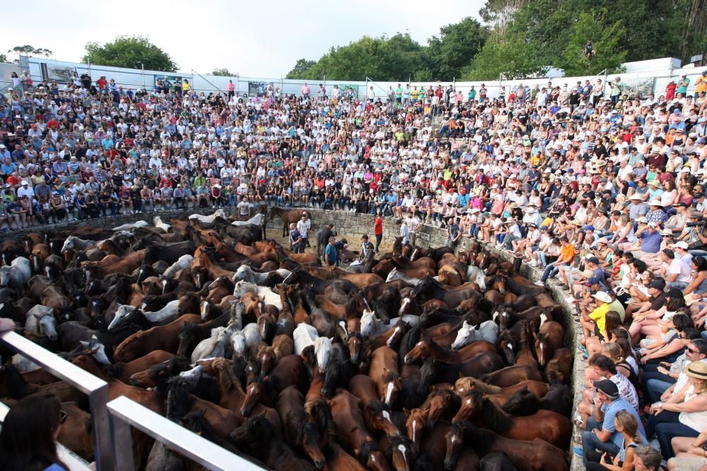 Sabucedo exhibe bravura en su Rapa das Bestas