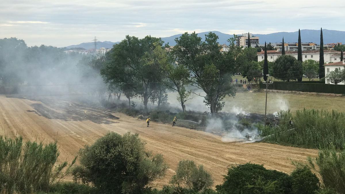 Bombers extingint el foc del camp del costat del Rec Susanna, a Figueres.