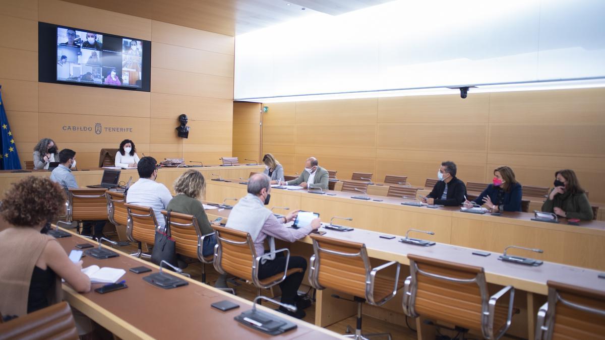 Reunión con los ayuntamientos de la Isla para presentar el plan de acciones previsto para este año en el área comercial