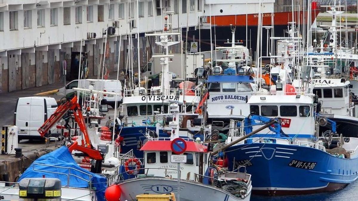 Flota cerquera, en el puerto de O Berbés en Vigo.