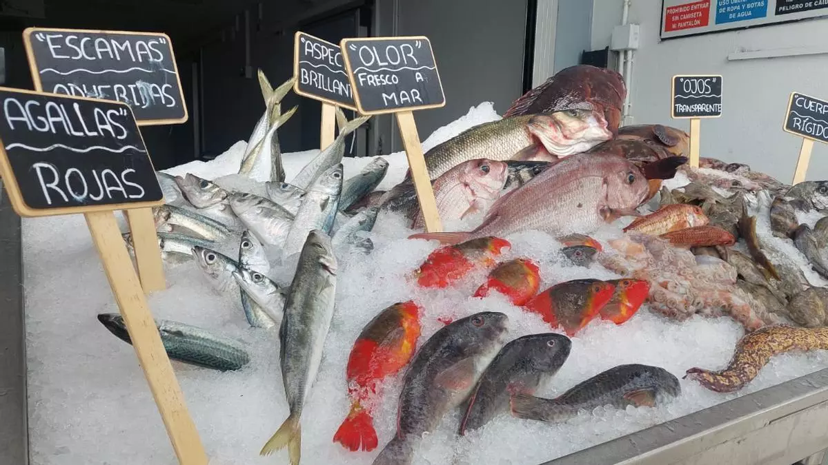 Cómo saber cuándo el pescado es fresco: estos son los consejos de la Cooperativa de Pescadores de San Cristóbal