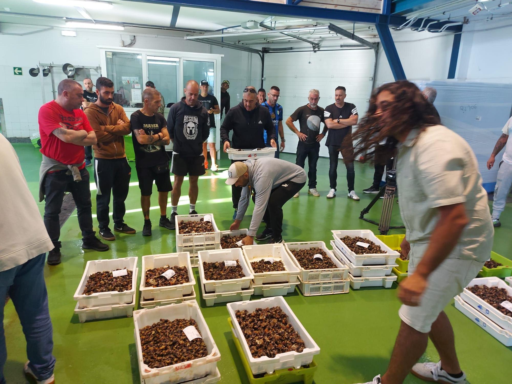 En imágenes: La primera subasta de percebe de la temporada en la rula de Puerto de Vega