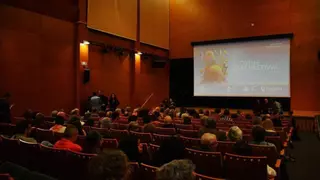 La Filmoteca de Zaragoza inicia el proceso para seleccionar su nuevo Jefe de difusión y exhibición