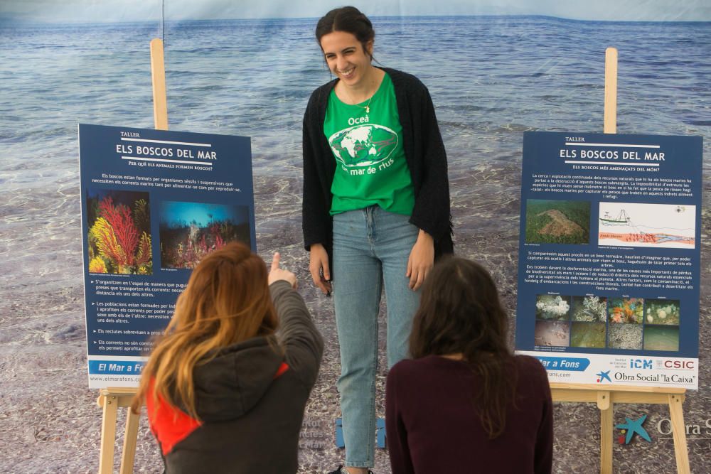 Talleres de sobre el mar en las Cigarreras