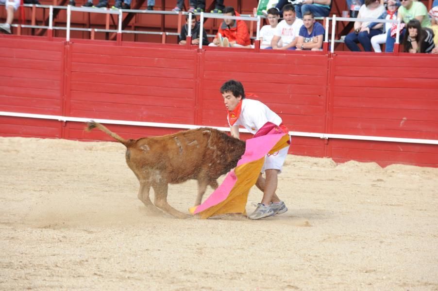 Becerrada, encierros y vaca de la sangría