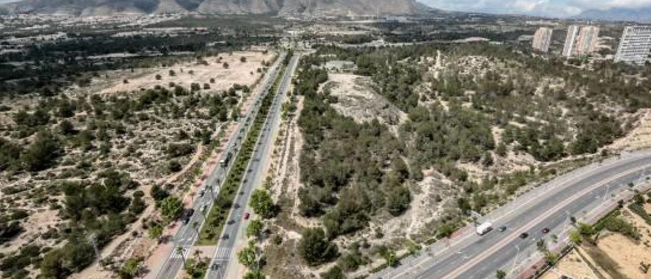 Imagen de los terrenos de El Murtal que el Ayuntamiento de Benidorm podrá desarrollar en los próximos meses.