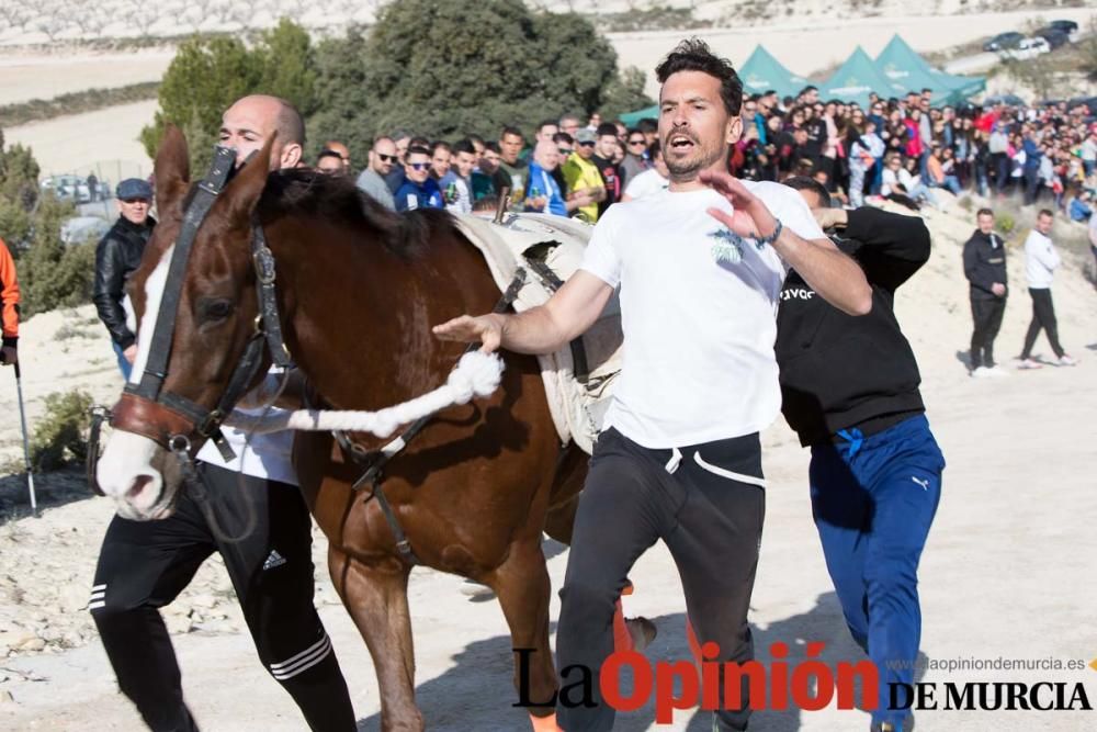 Entrenamiento Caballos del Vino