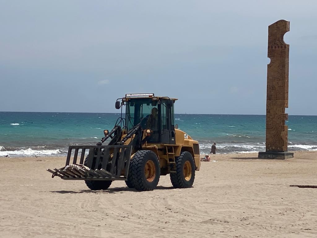 Abaten a un jabalí en El Campello tras obligar de desalojar una playa y dejar dos heridos