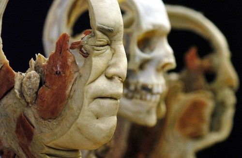 Exposición de cadáveres humanos