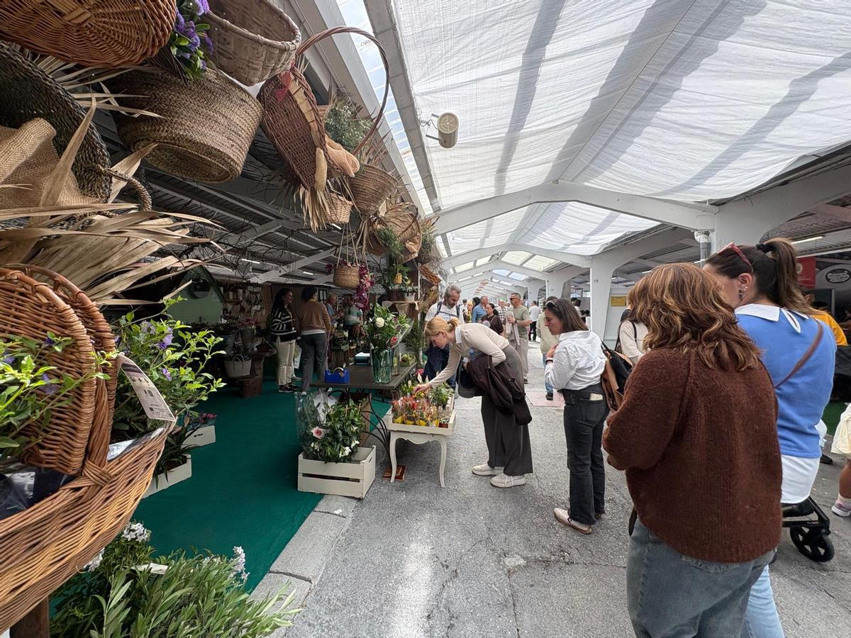 Lleno en el primer día de la Feria de Muestras de Tineo Lleno en el primer día de la Feria de Muestras de Tineo
