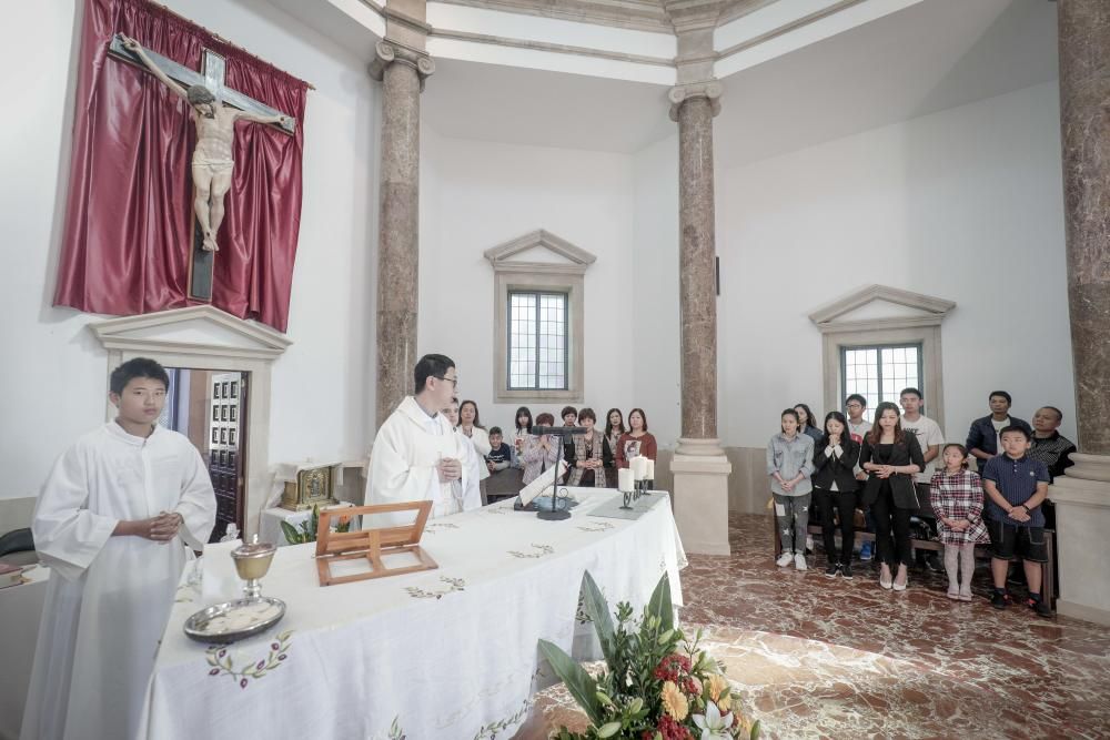 Día de Todos los Santos en el cementerio de Palma