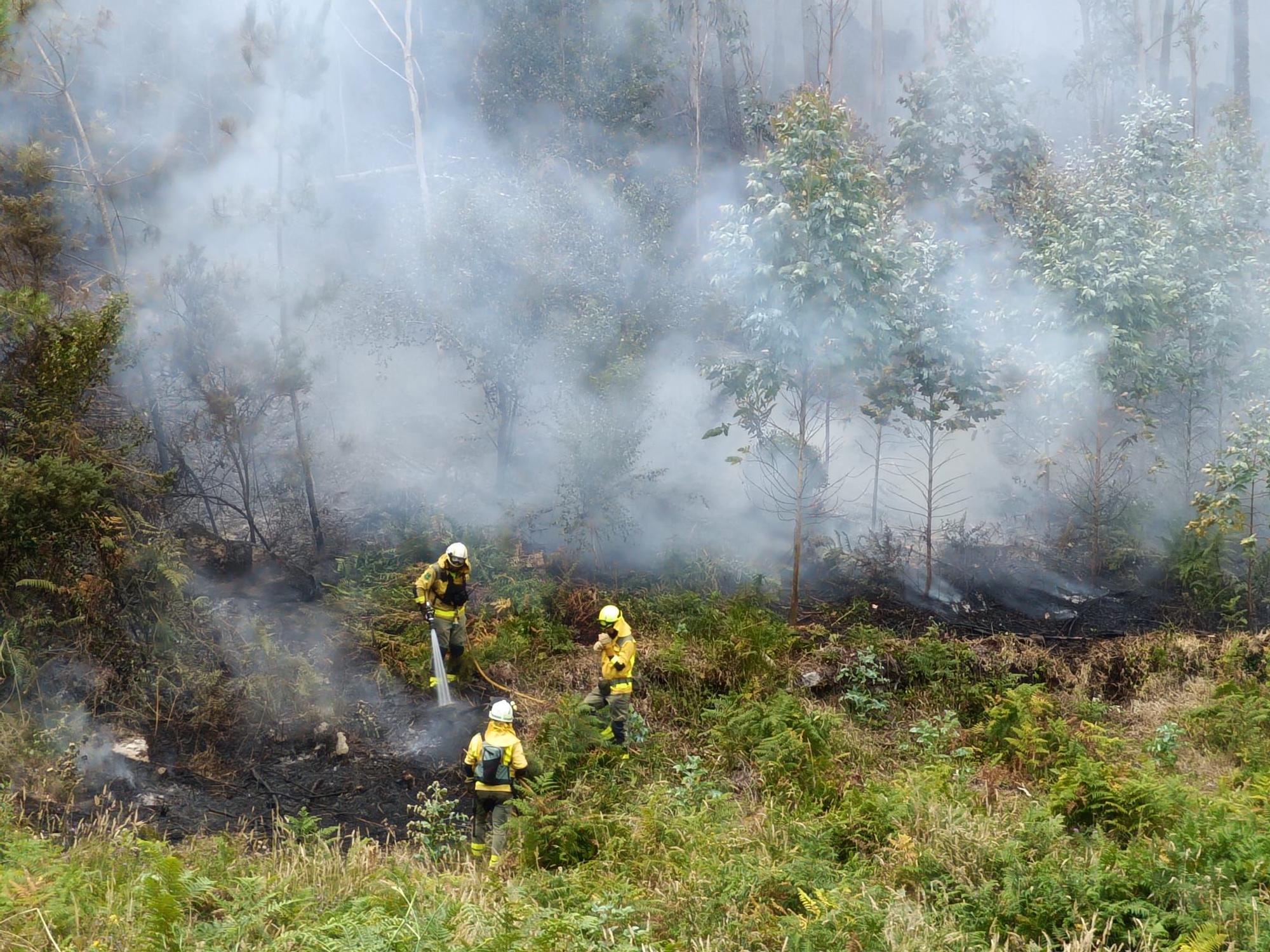 Brigadistas trabajando en las labores de extinción del incendio en Nande.