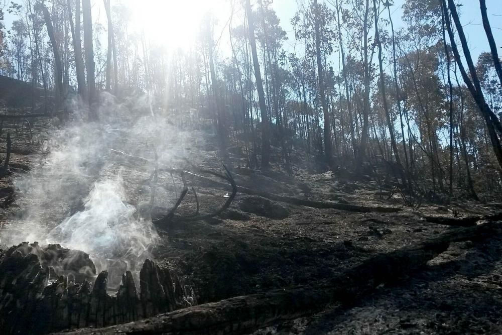 Extinguido el incendio provocado de Gondomar