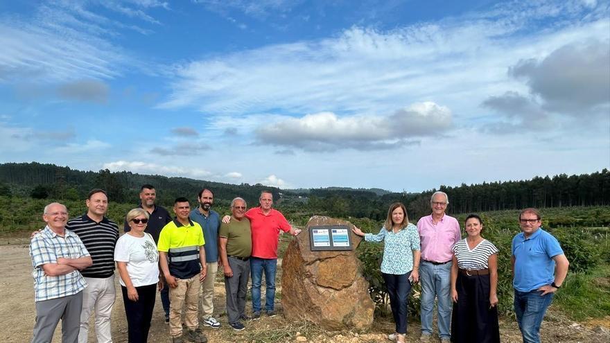 En busca del "oro verde": Asturias destina ayudas de 678.000 euros para emprender en el rural en plena eclosión del aguacate del Cantábrico