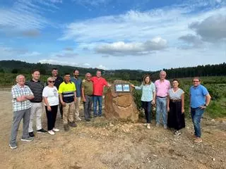 En busca del "oro verde": Asturias destina ayudas de 678.000 euros para emprender en el rural en plena eclosión del aguacate del Cantábrico